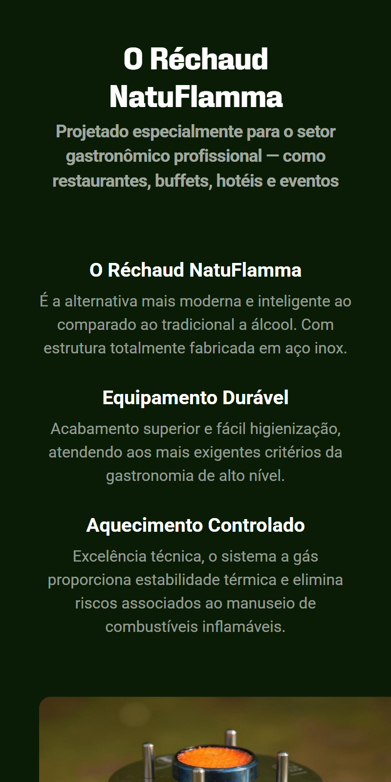 natuflamma.com.br_ (3)