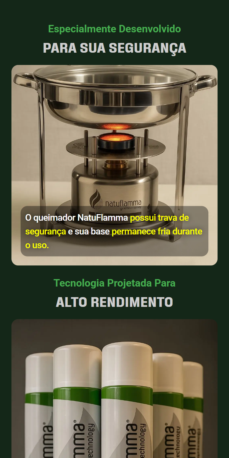 natuflamma.com.br_ (4)