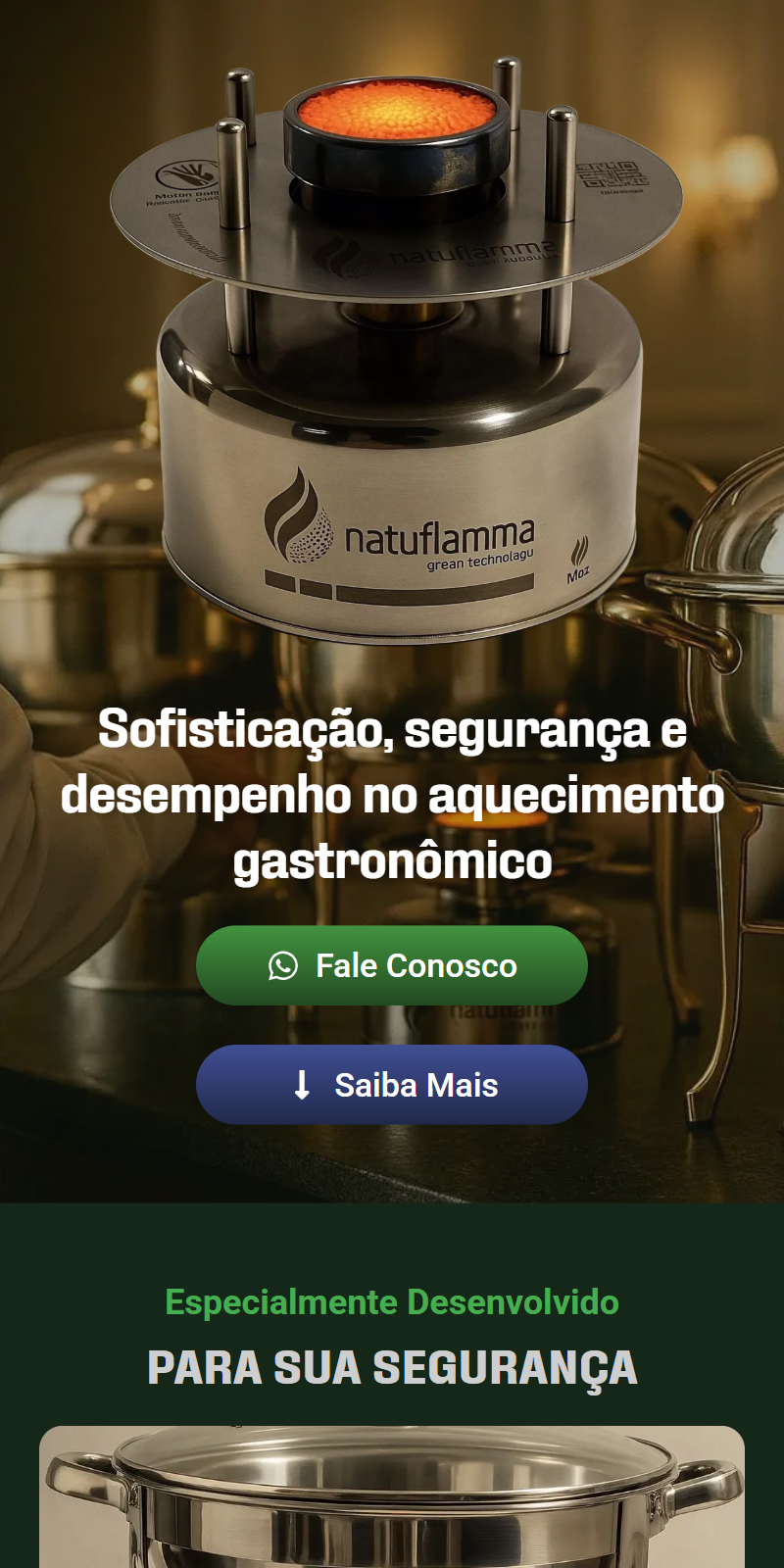 natuflamma.com.br_ (6)