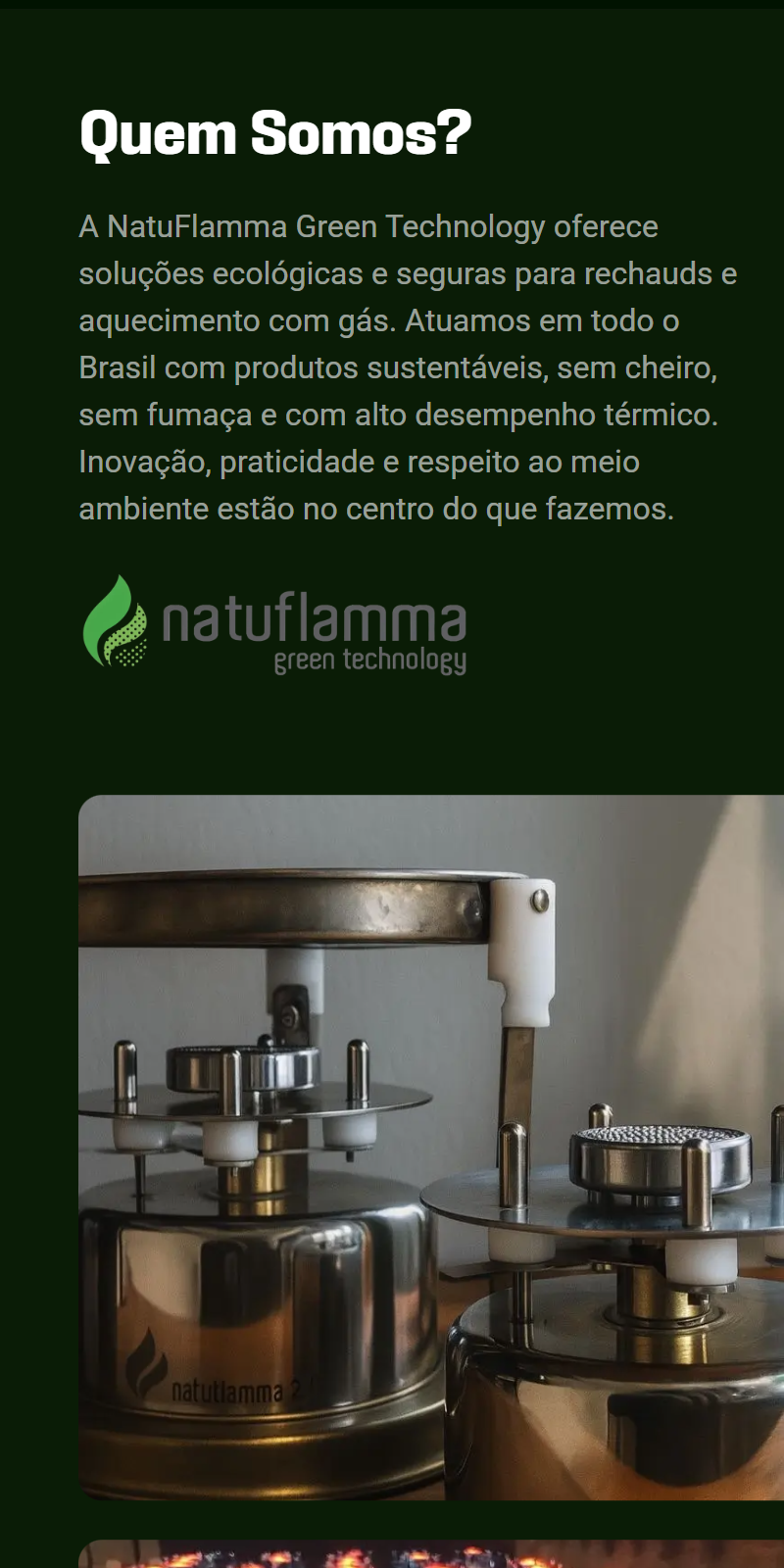 natuflamma.com.br_ (7)